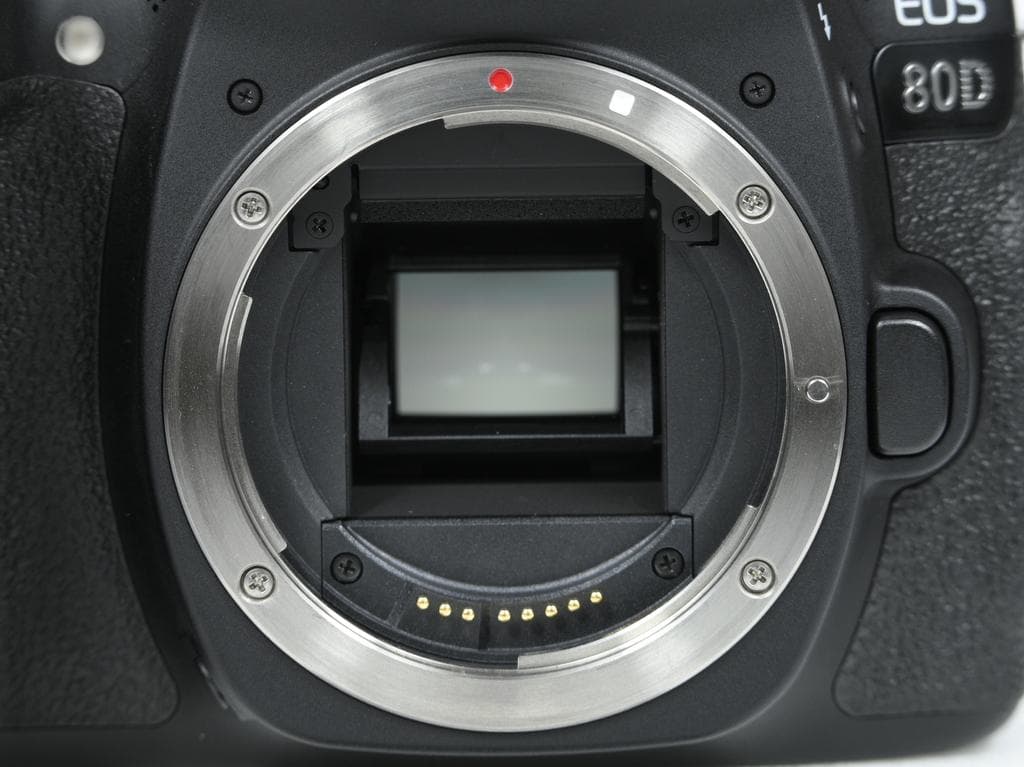 【超美品】 キヤノン　Canon EOS 80D ボディ《ショット数7029》