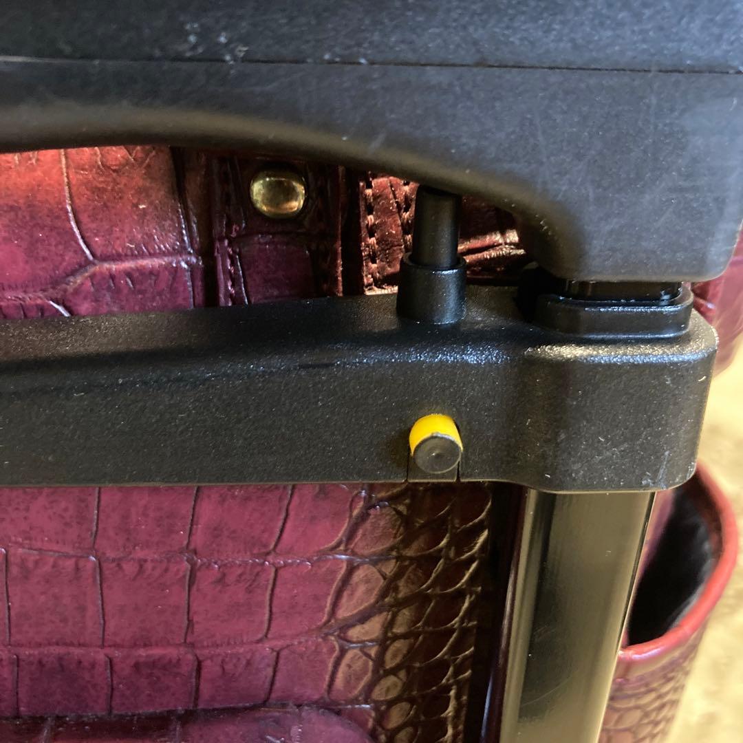 ✳️ SWANY スワニー キャリーバッグ クロコ 型押し 2way レッド