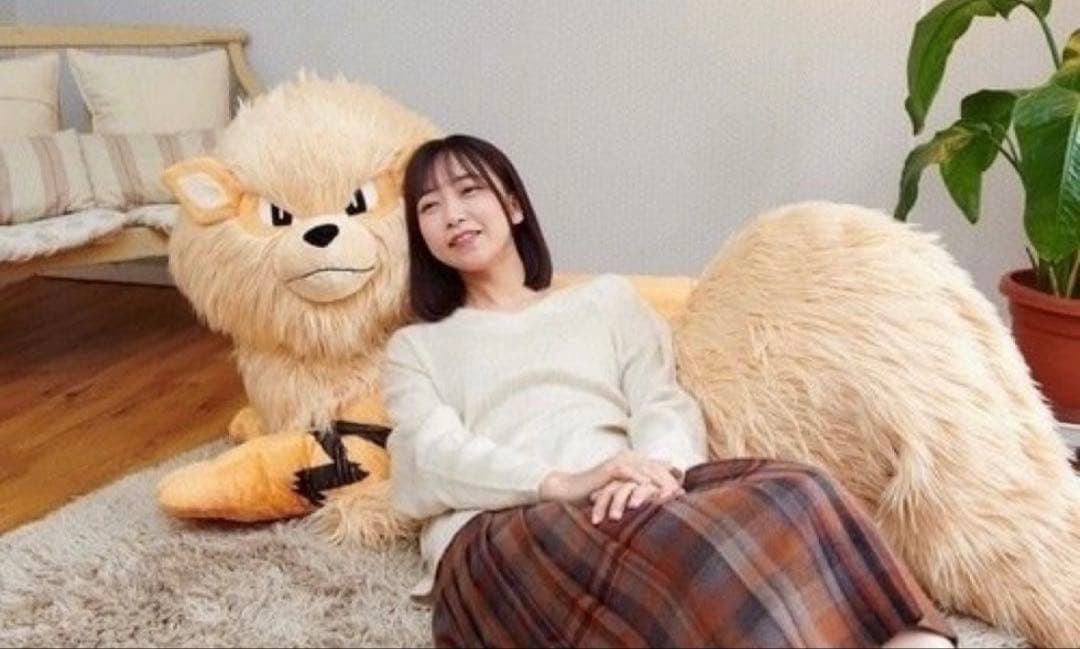 【極美品タグ付き・希少】添い寝 ウインディ ぬいぐるみ ポケモンセンターポケモン