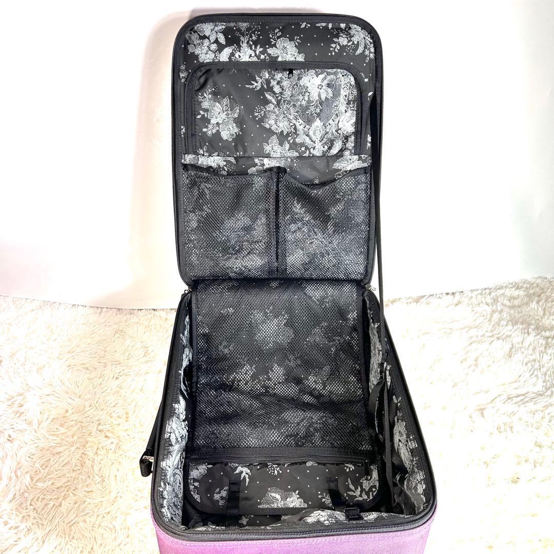 【希少】スワニー キャリーバッグ　近沢レース限定生産 数量限定