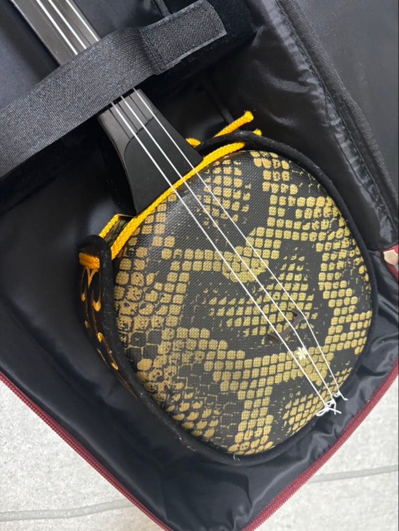 沖縄三線 弦楽器 ケース付き おまけ付き