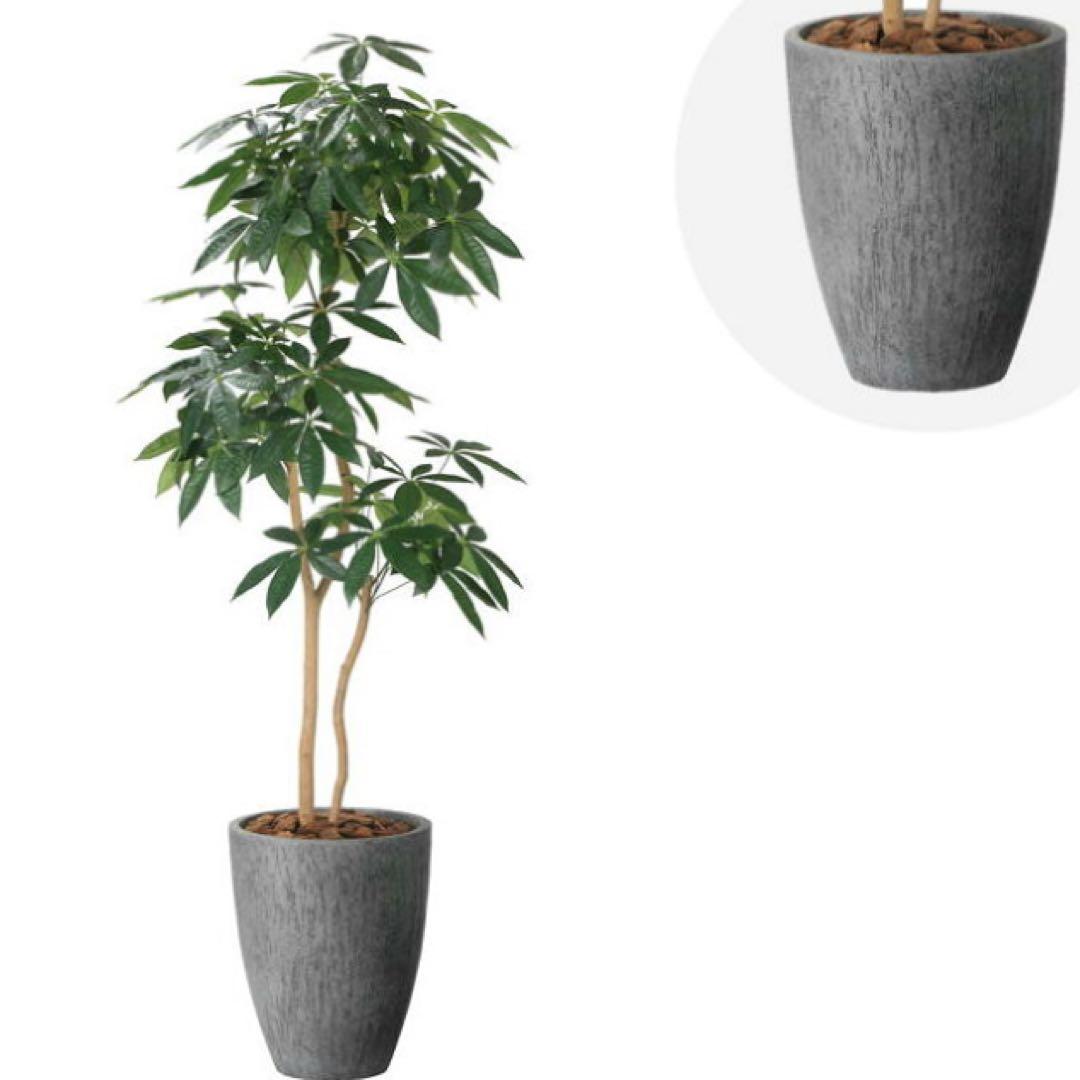 光触媒　人工観葉植物　フェイクグリーン　ナチュラルパキラ 1.8m