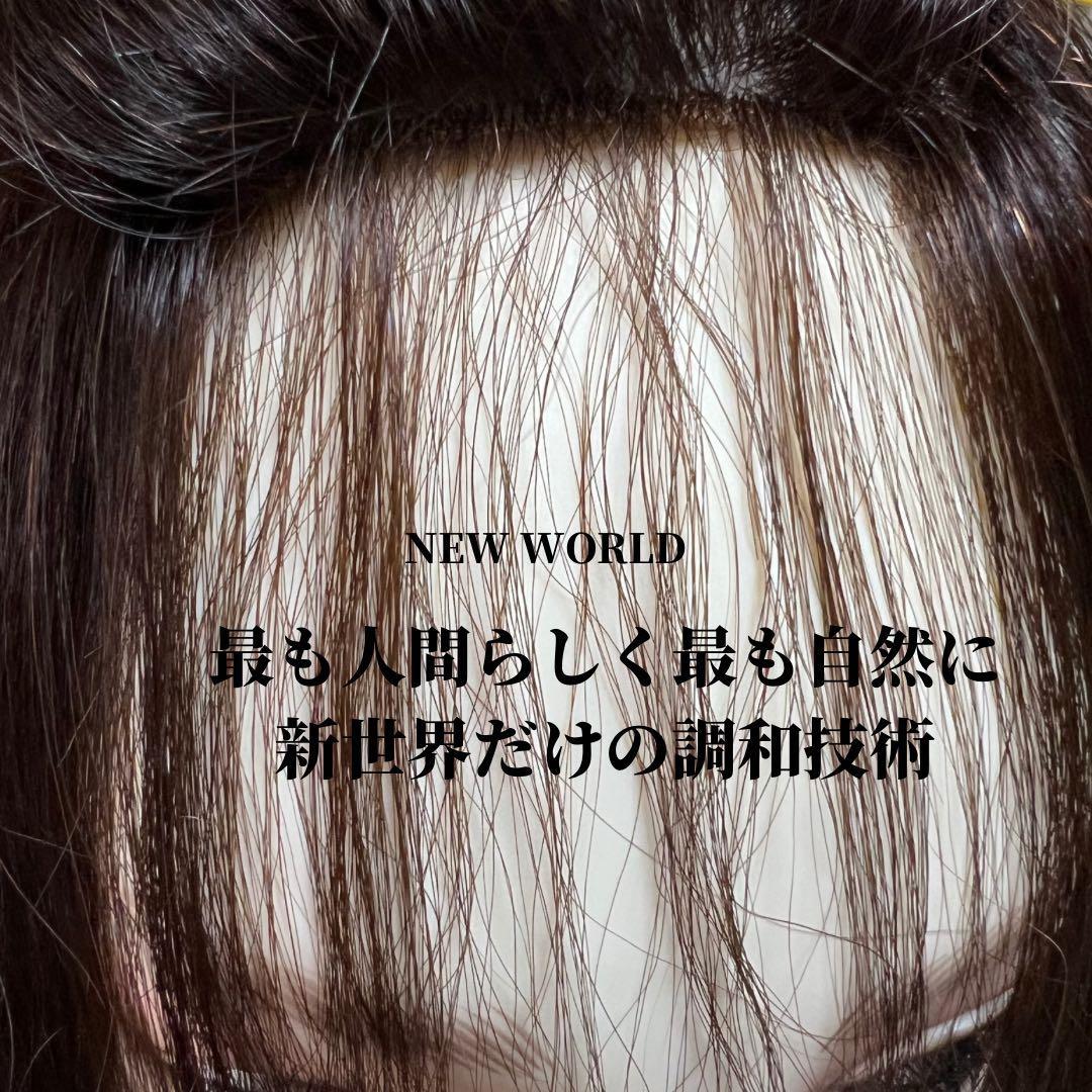 2025新世界 人毛100% フルウィッグ シルクスキン 医療ウィッグ ブラック