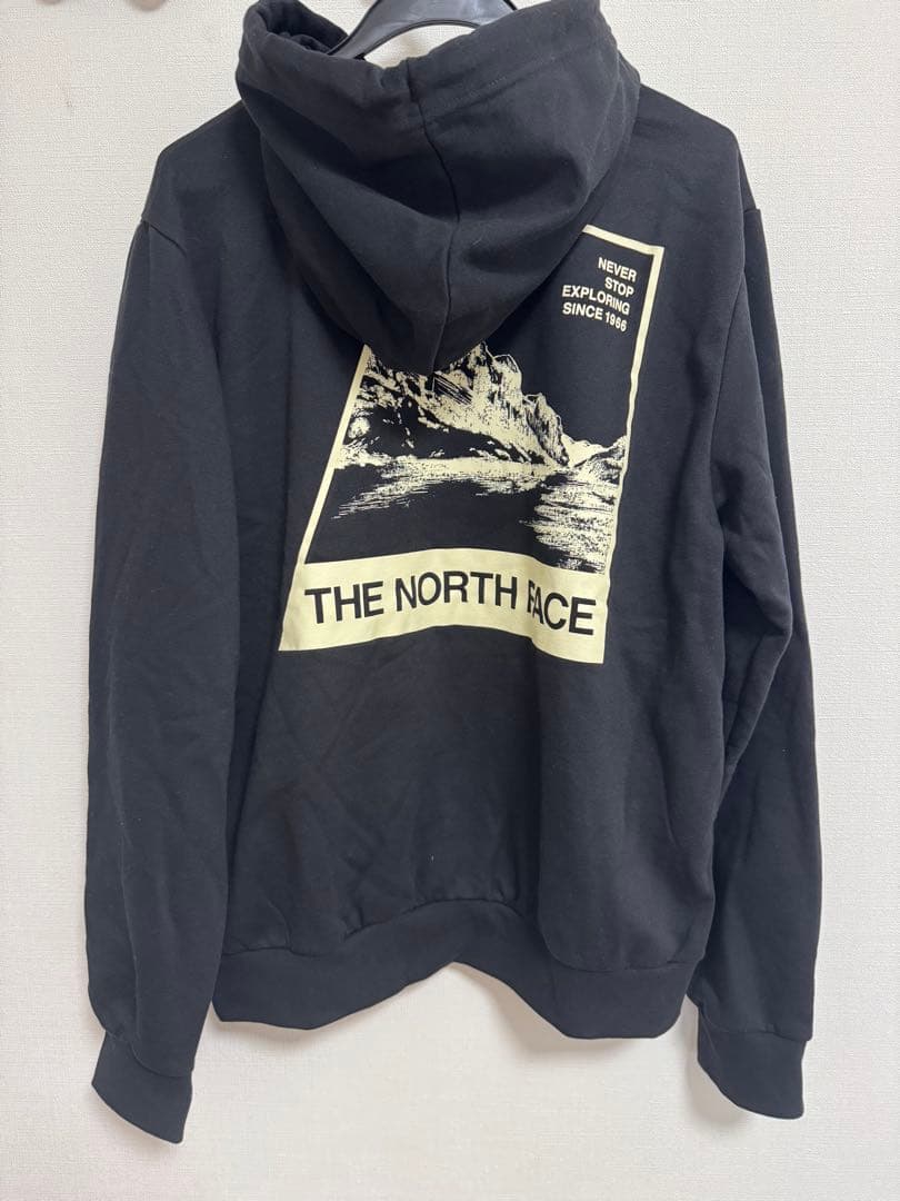 ノースフェイス「新品正規品タグ付き」海外限定EVO RetroパーカーL