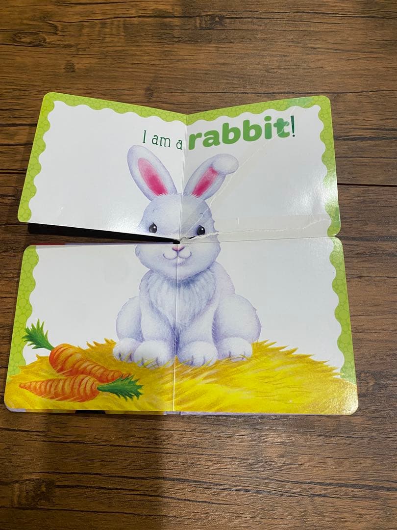 t*a様 【即発送】英語絵本 まとめ売り 26冊セット 赤ちゃん 幼児