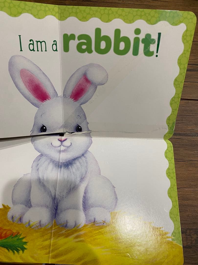 t*a様 【即発送】英語絵本 まとめ売り 26冊セット 赤ちゃん 幼児