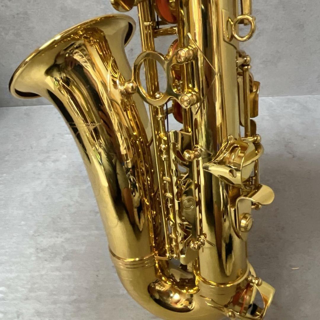 HOSCO ホスコ Selection アルトサックス SAS-50L 管楽器