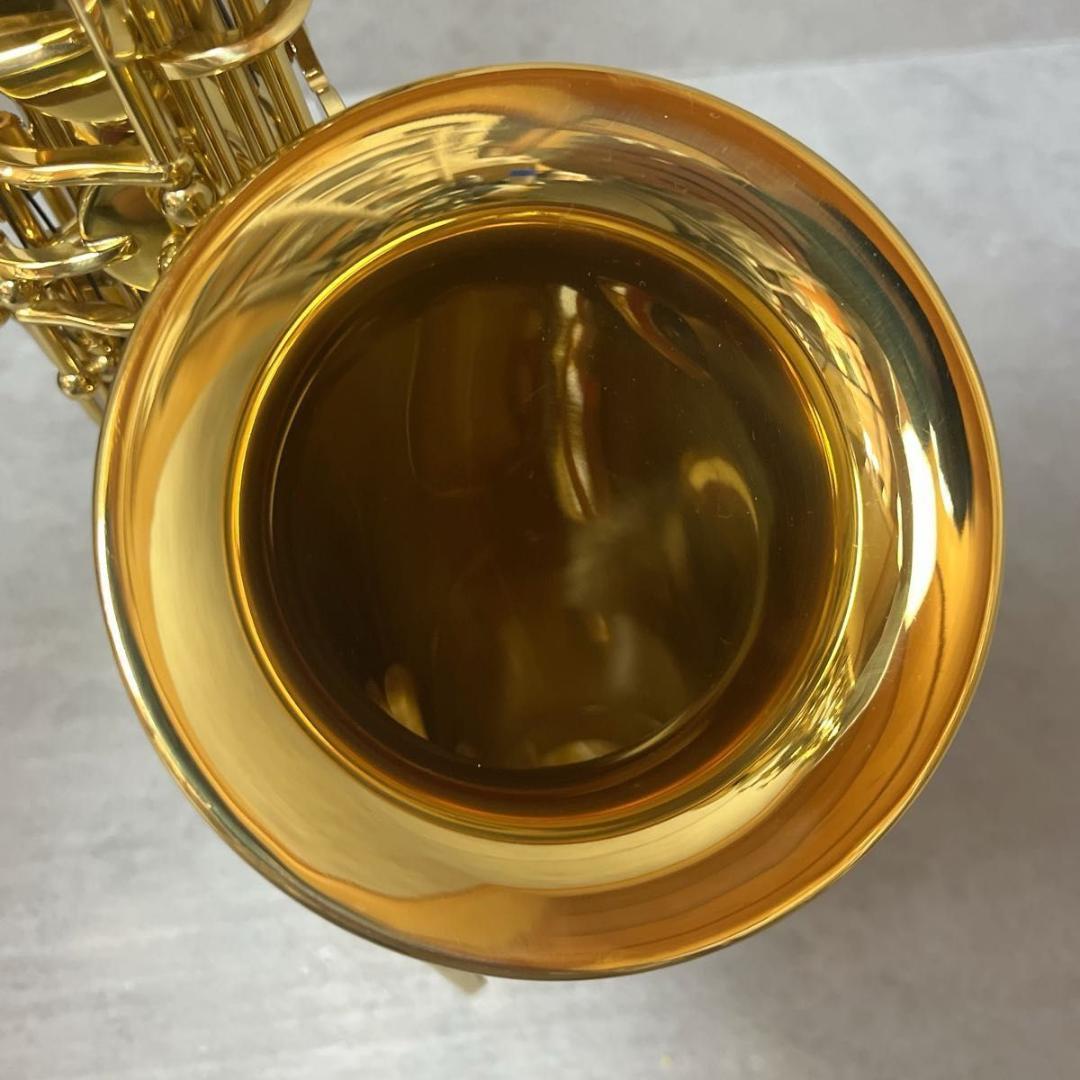 HOSCO ホスコ Selection アルトサックス SAS-50L 管楽器