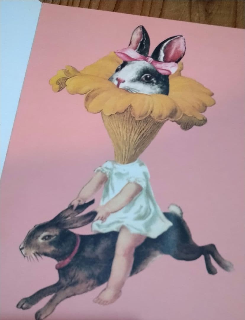 あちゃちゅむシャム双生児クマバッグ