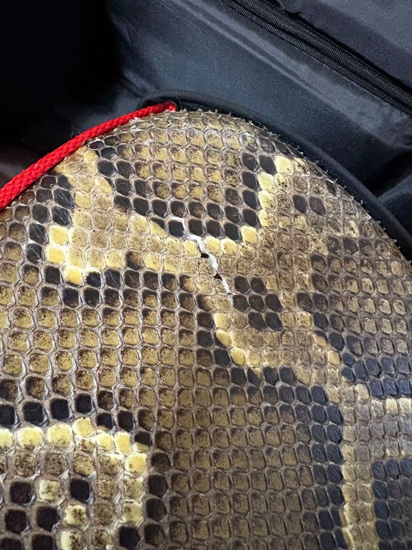 MMY　【未使用・美品】宮古木工芸　高級三線老舗　蛇本革フルセット　縞黒壇