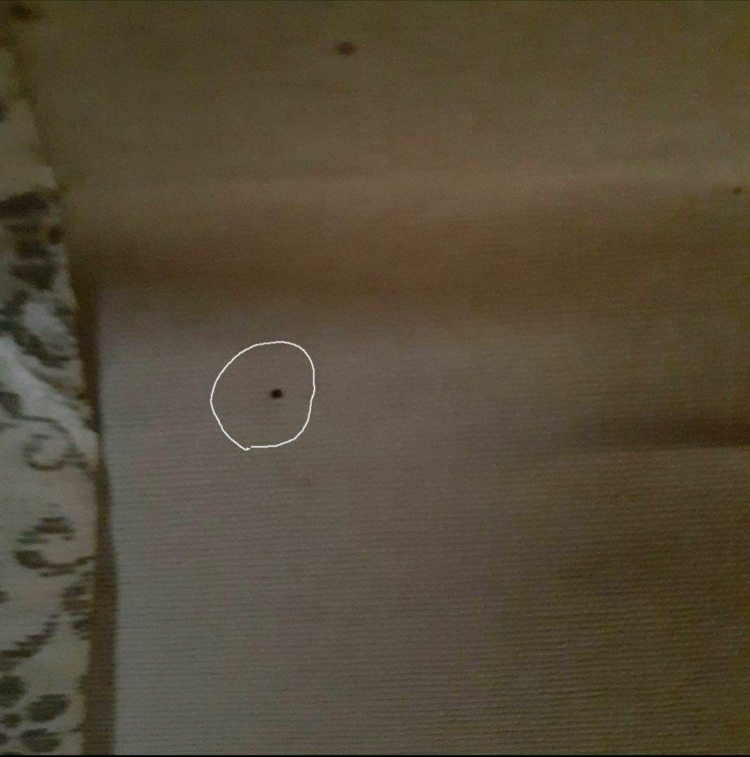 掛け軸/秋風景？/富士？