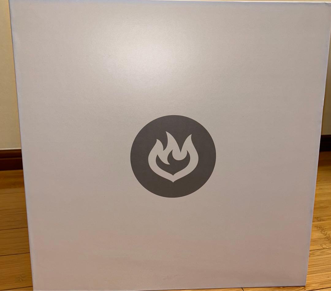 ダニエルアーシャム × ポケモン ヒトカゲ　Daniel Arsham