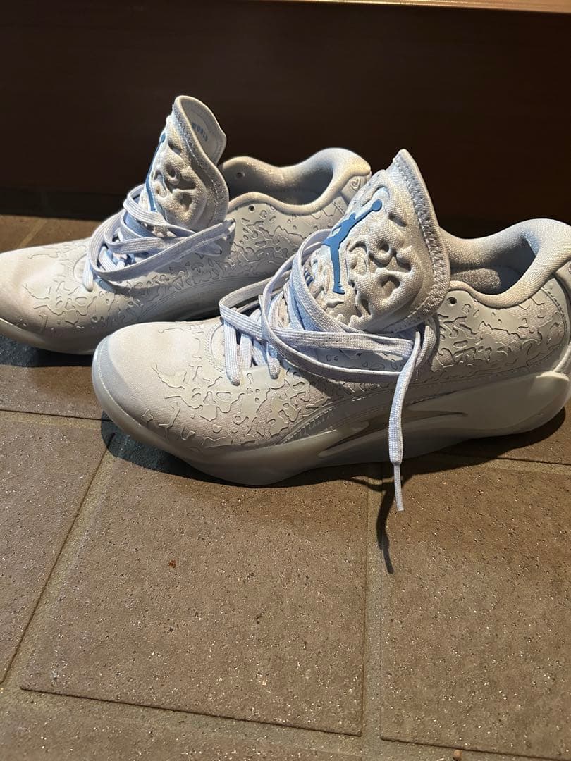 Jordan シューズ US8 DR0576-400