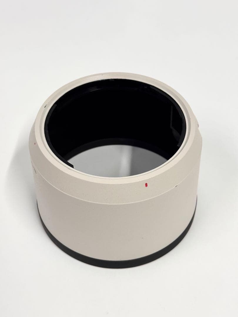 SONY FE 70-200mm F2.8 GM OSS II 望遠ズームレンズ