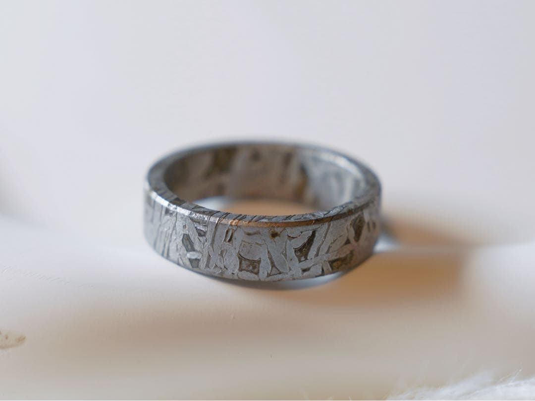 【宇宙の指輪】アルタイ隕石リング 原色　19.0mm ウィドマンシュテッテン模様