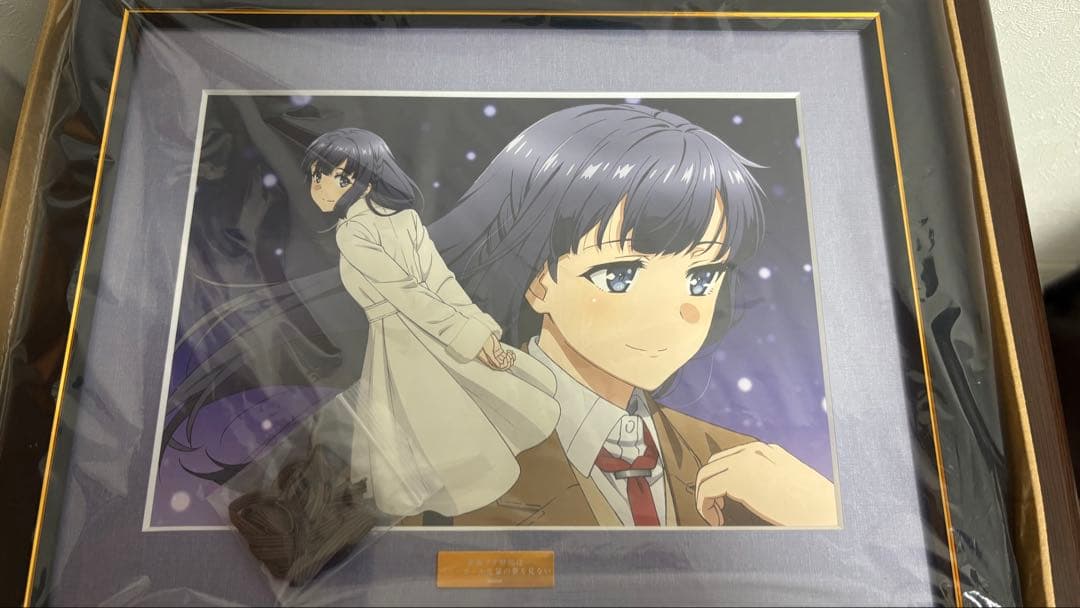 青春ブタ野郎はバニーガール先輩の夢を見ない 牧之原翔子 キャラ