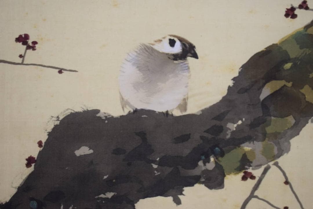 真作/菊池芳文/紅梅に雀図/紅梅に小禽図/桐共箱二重箱付/布袋屋掛軸HI-250