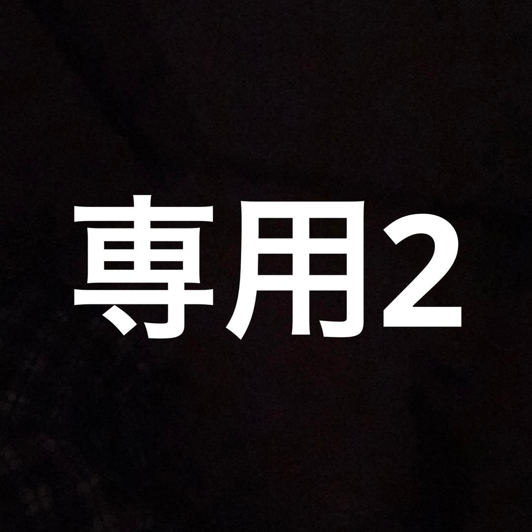 専用2