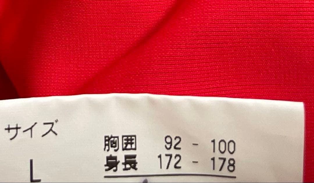 スキーウェア クロスカントリー　ツーピース　Lサイズ レッド　swix