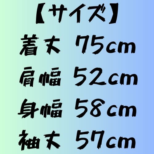 ノースフェイス スキーウェア レディースXL マウンテンジャケット スノボウェア