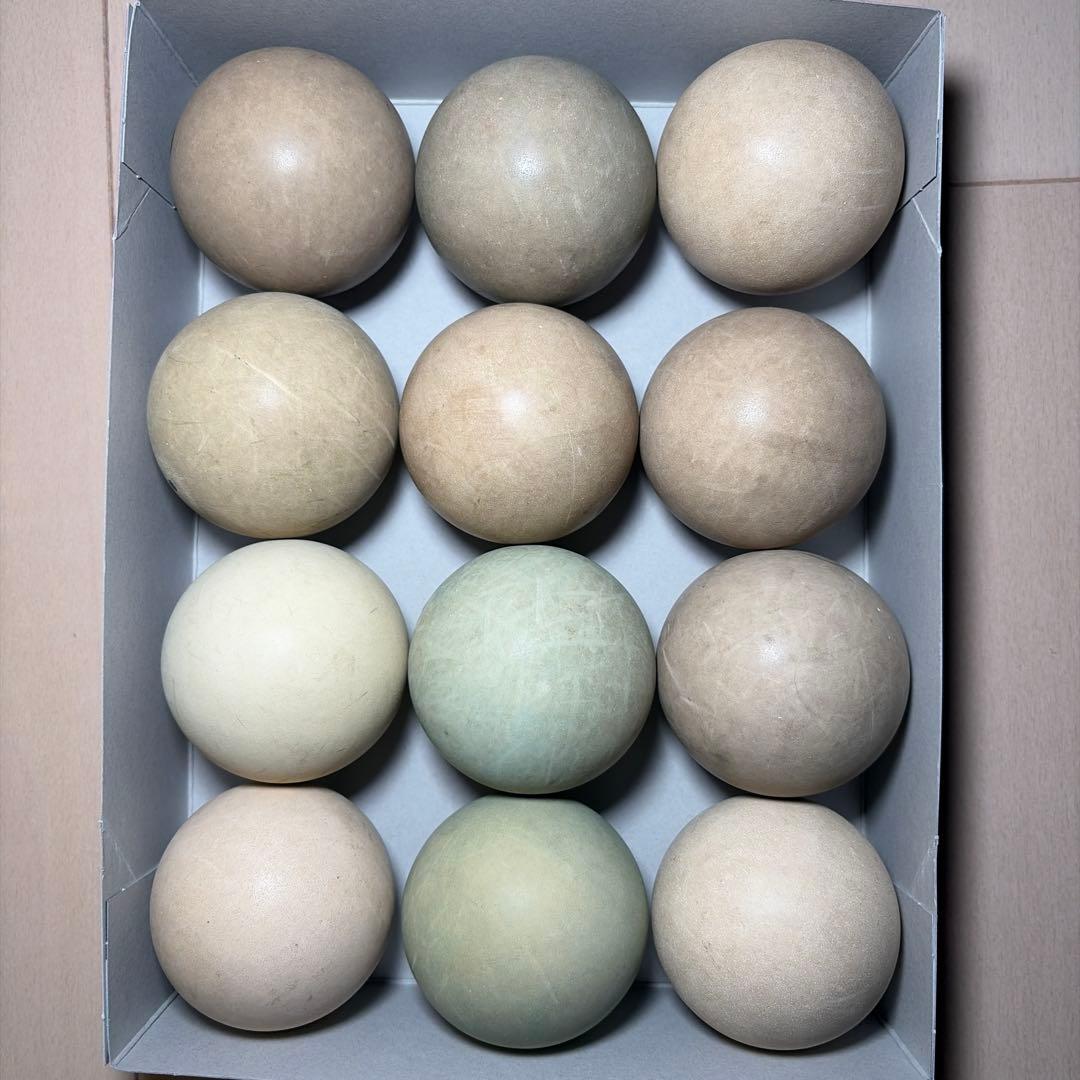 早い者勝ち】ソフトテニス ボール 20球 中古 - メルカリ