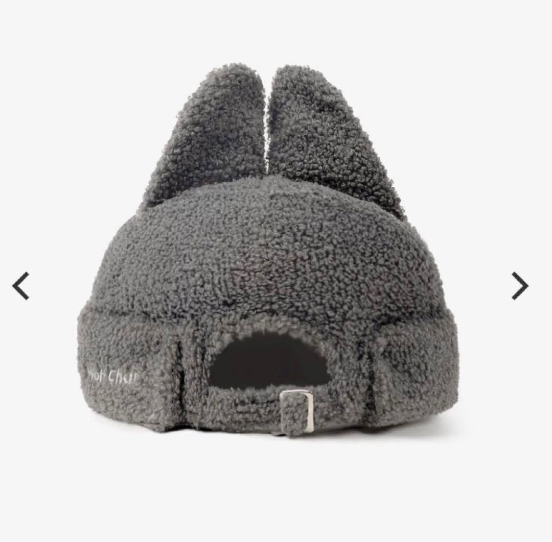 STRAYKIDS dominATE ボアキャップ skzoo バンチャン - メルカリ