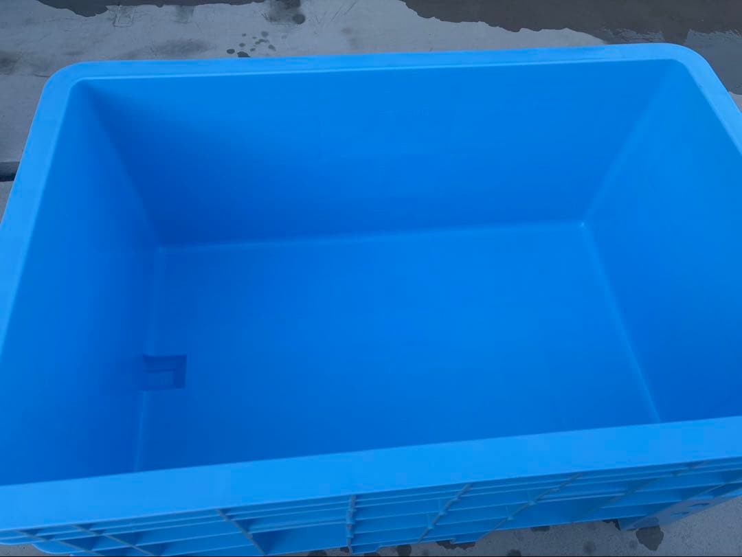 大型プラスチック水槽 ライトブルー - メルカリ