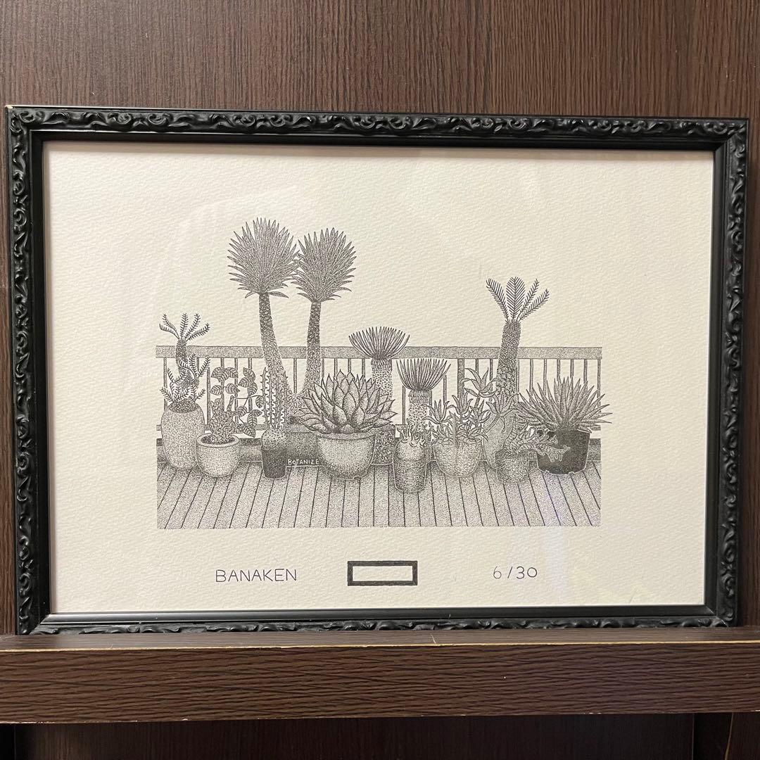 ボタナイズバナケンブランドロゴ点描画絵ポスター塊根植物多肉植物