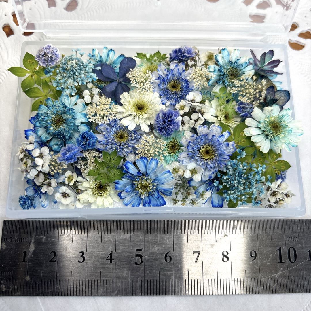 ドライフラワー 花材 詰め合わせ 857 マトリカリア - メルカリ