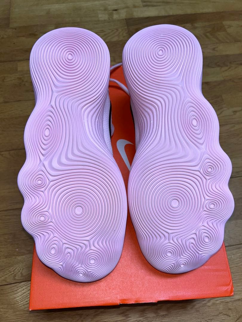 Nike ハイパーダンク 2017 Low