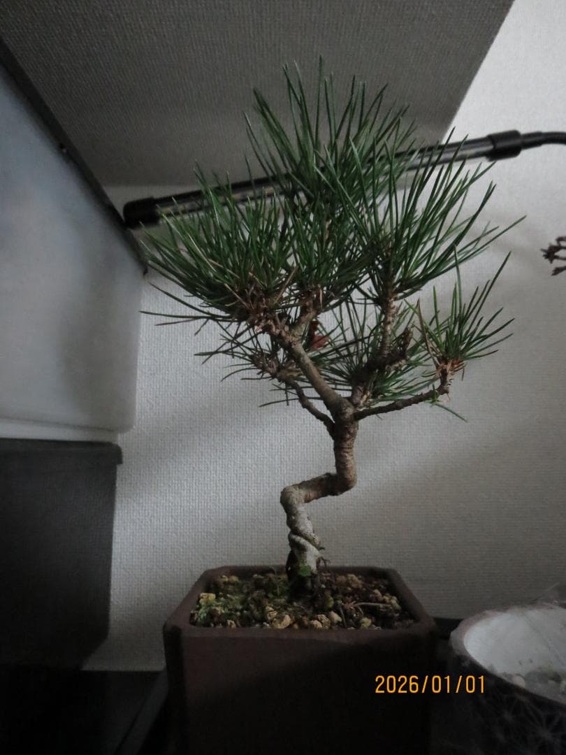 Canon IXY620F ゴールド