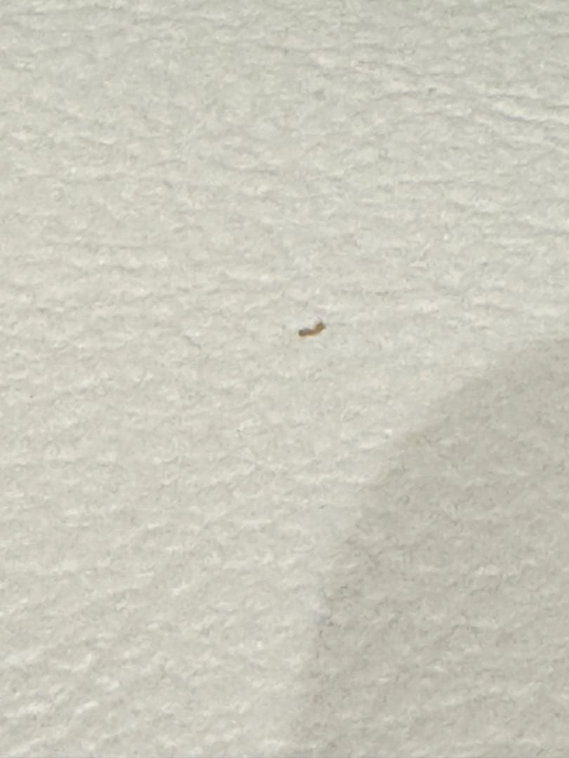 IDC大塚家具 ダイニングチェア シネマ HOC-096 WO 椅子2脚セット