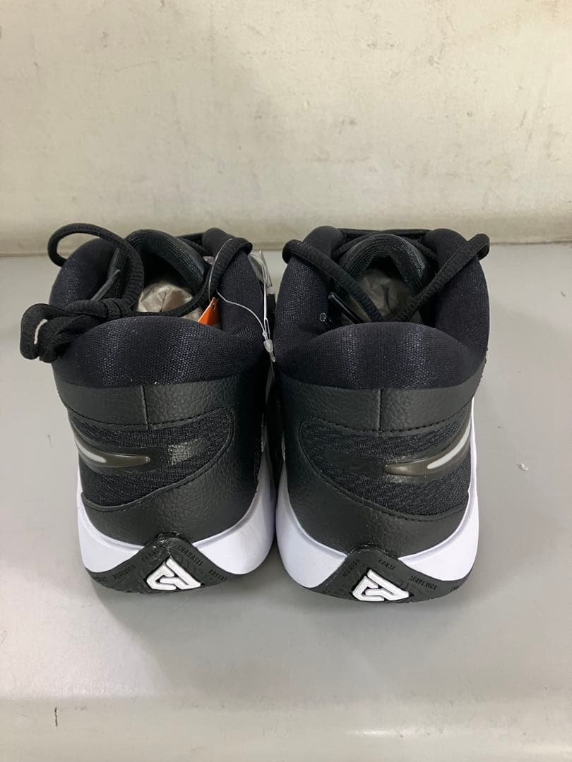 【お年玉価格】GIANNIS FREAK 6 EP 002カラー　25.0㎝