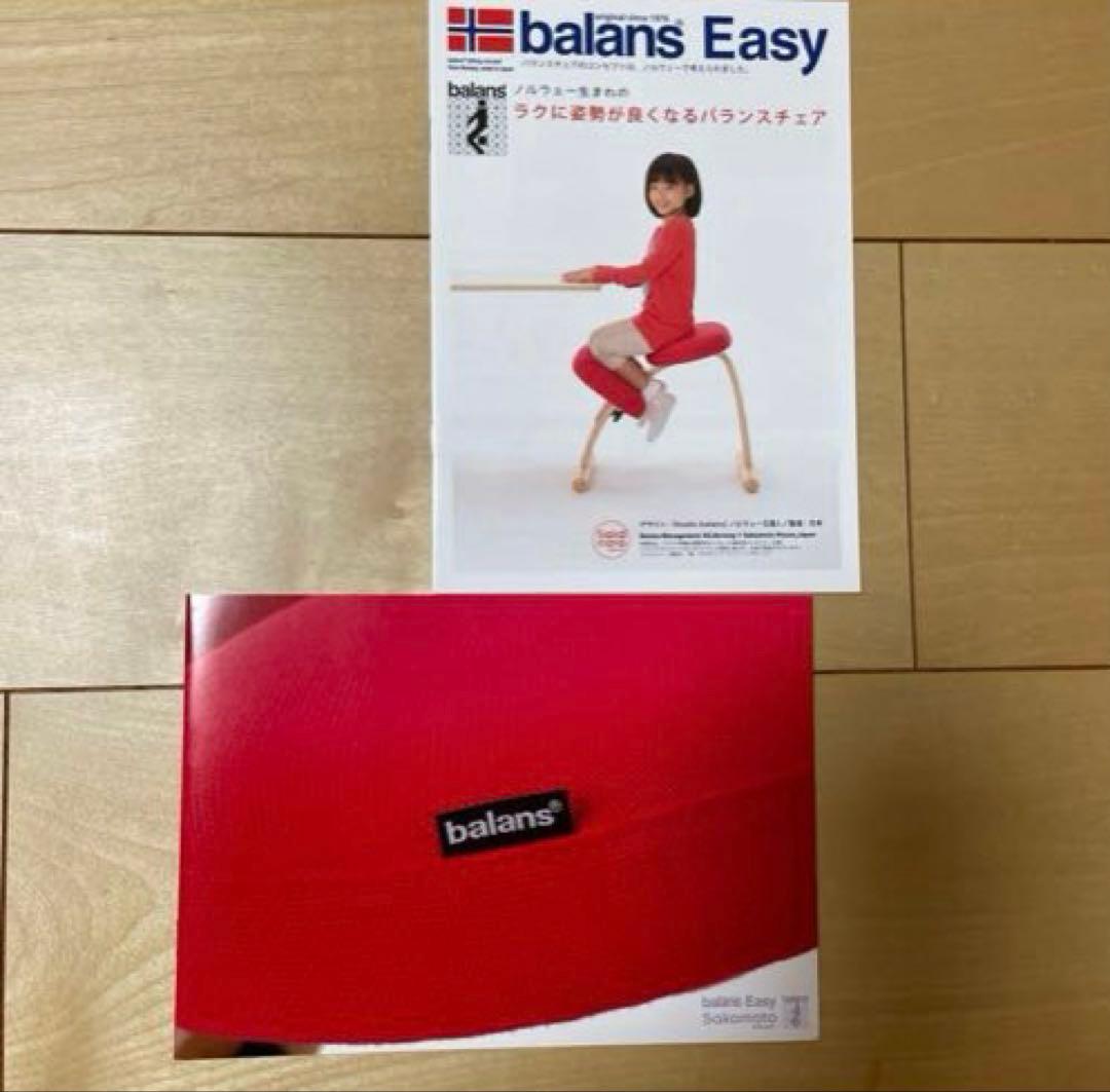 Balans Easy バランスチェア サカモトハウス　1脚
