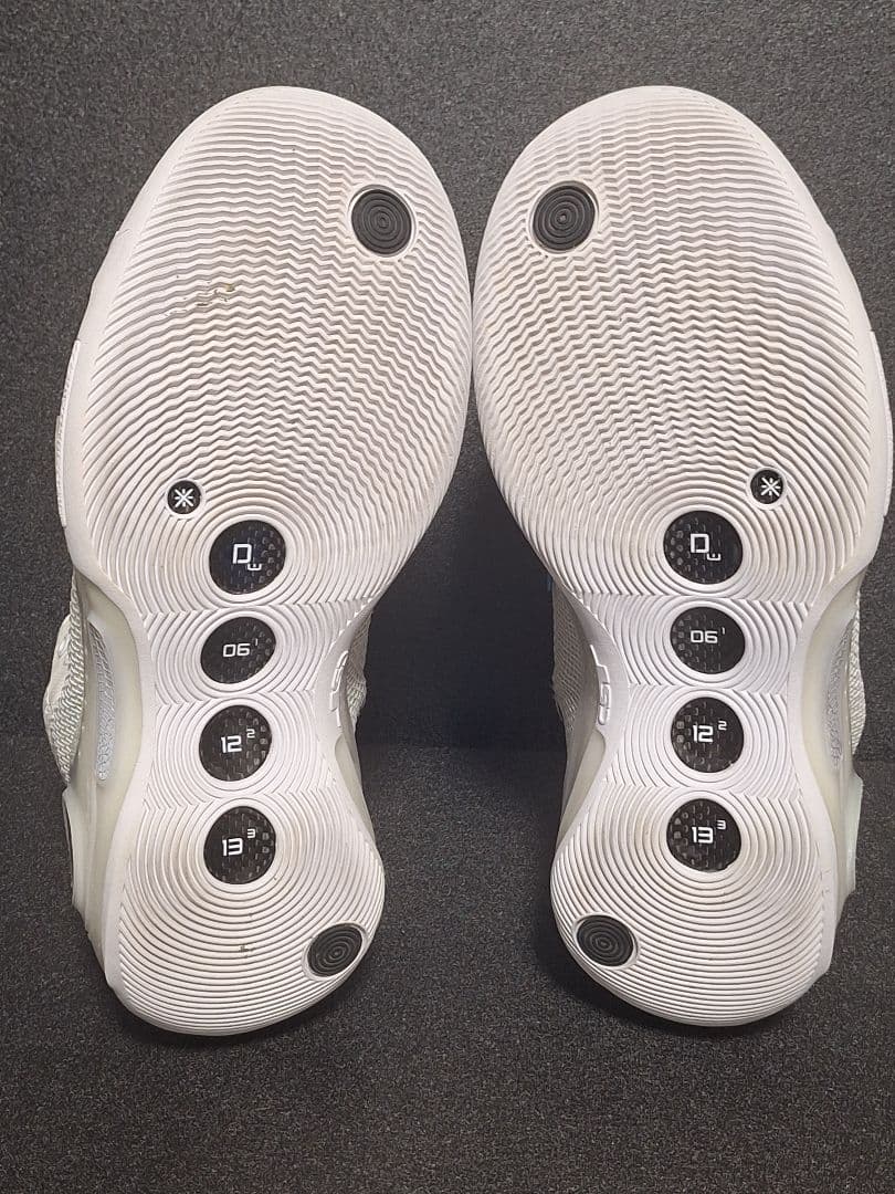 Li-Ning Way Of Wade10　26.5 箱あり