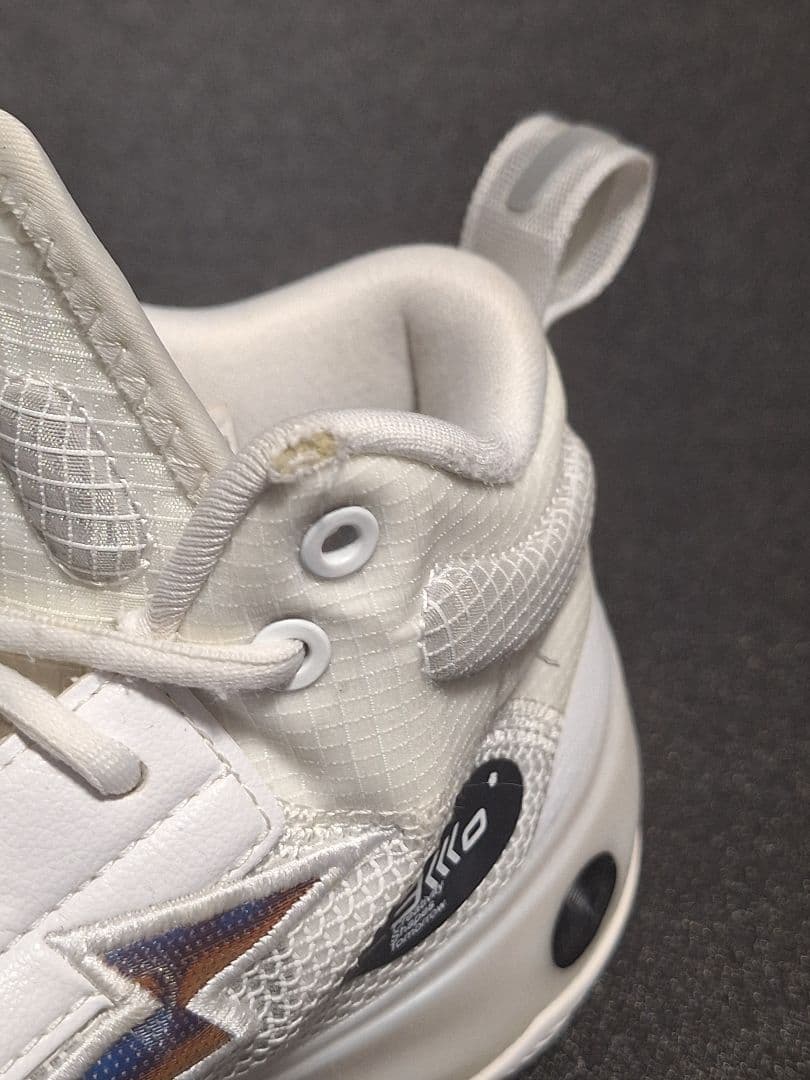 Li-Ning Way Of Wade10　26.5 箱あり