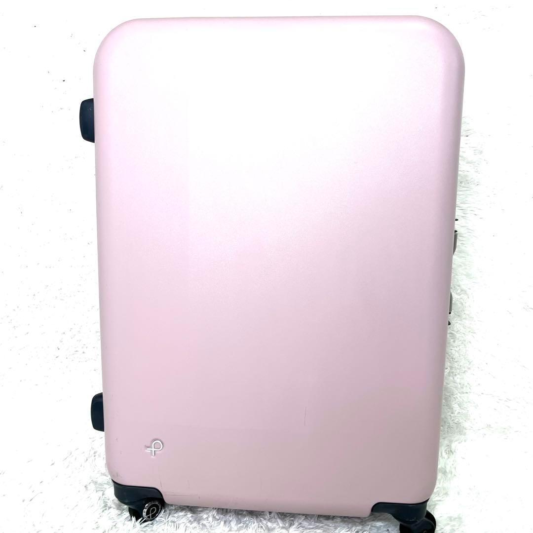 Blue_bird_7　極美品 プロテカ ACE エキノックスライト