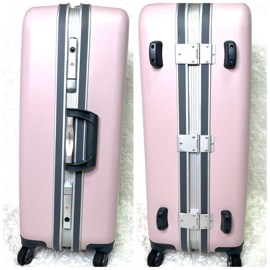 Blue_bird_7　極美品 プロテカ ACE エキノックスライト