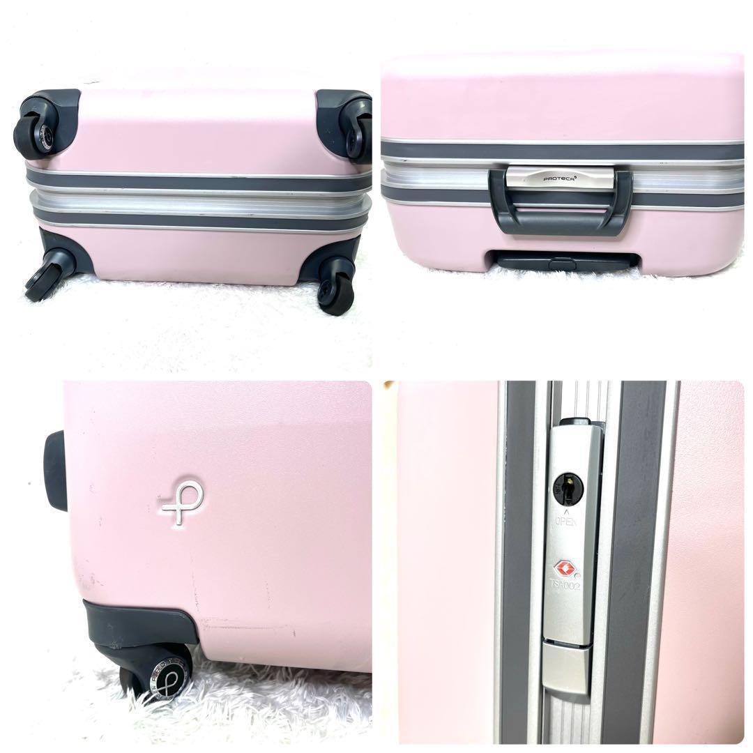 Blue_bird_7　極美品 プロテカ ACE エキノックスライト