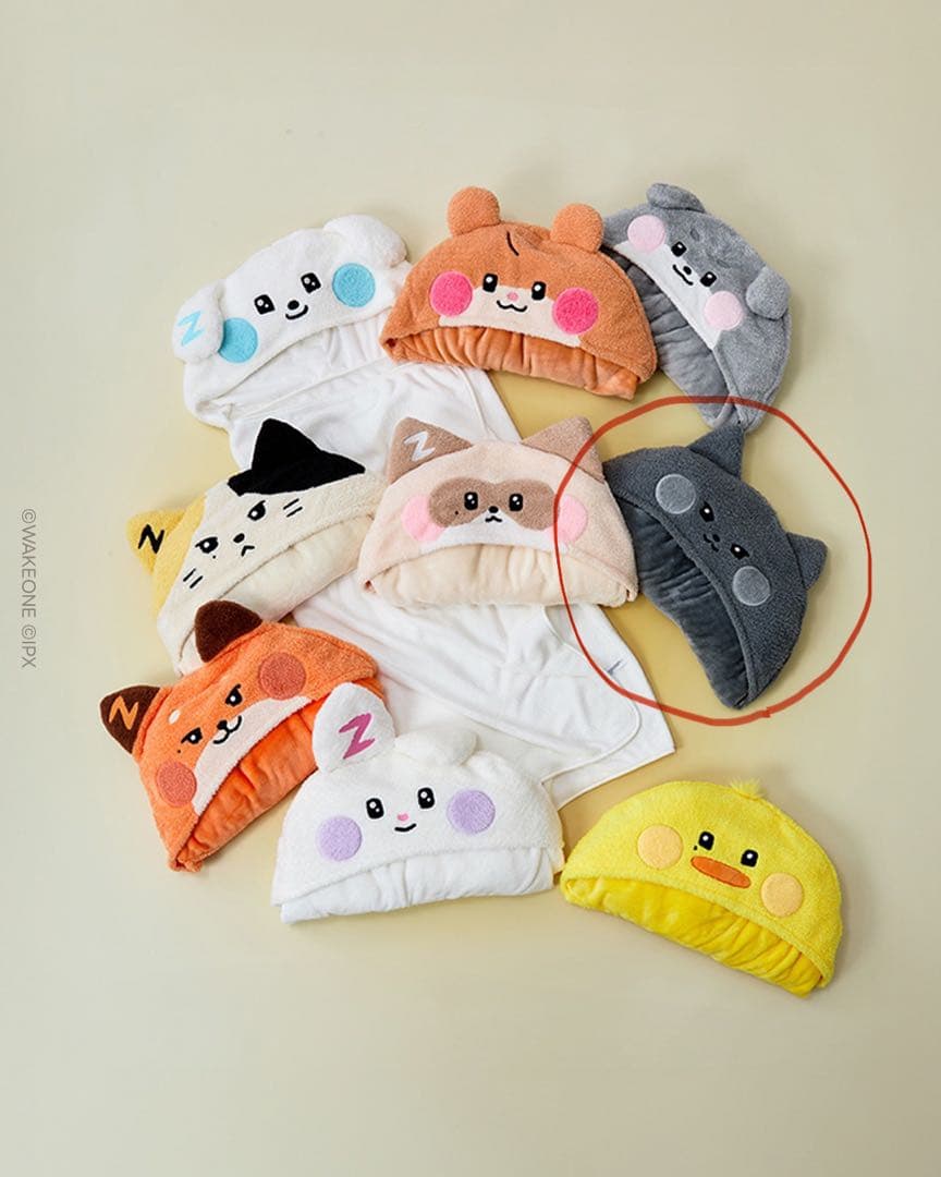 ZEROBASEONE zeroni ウンニニ woongniniブランケット - メルカリ