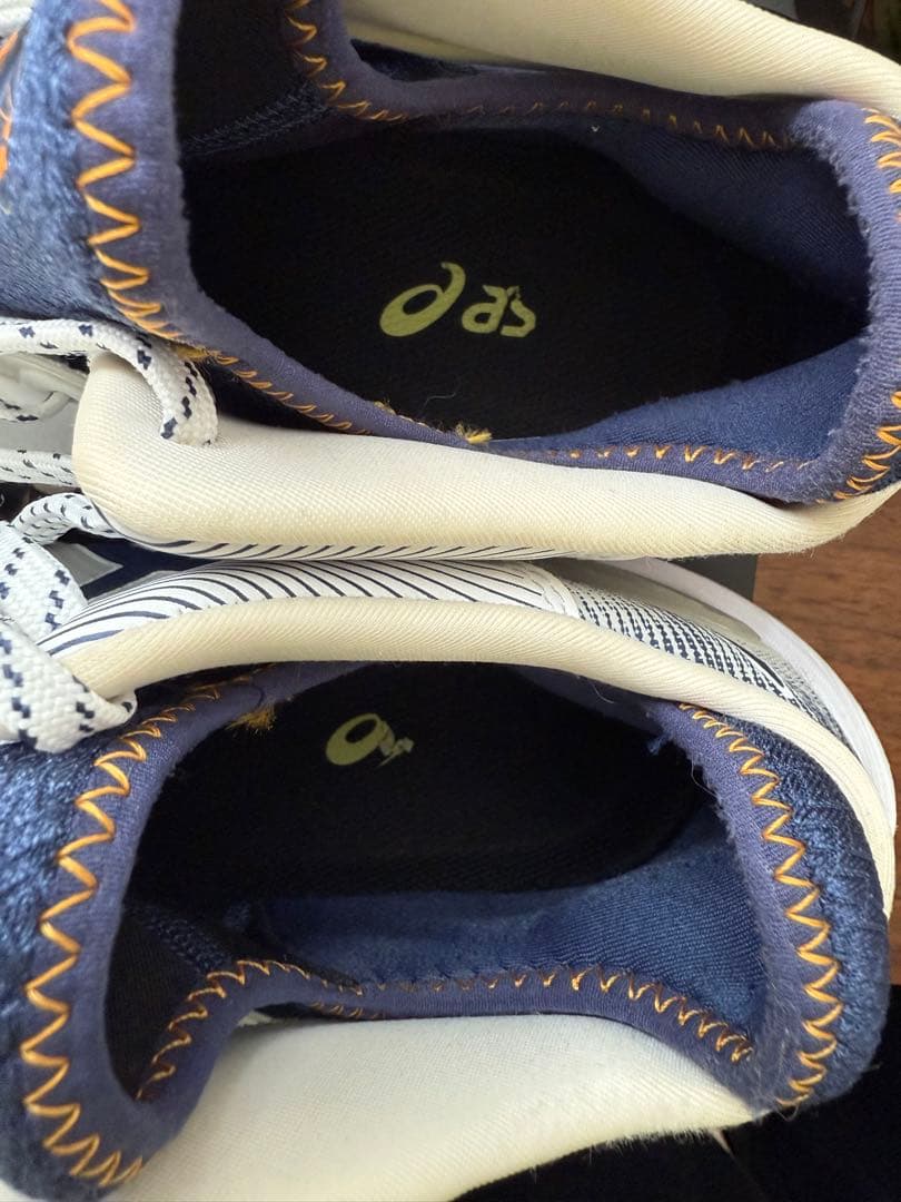 ASICS バレーボールシューズ 28.5cm RISE メタライズ