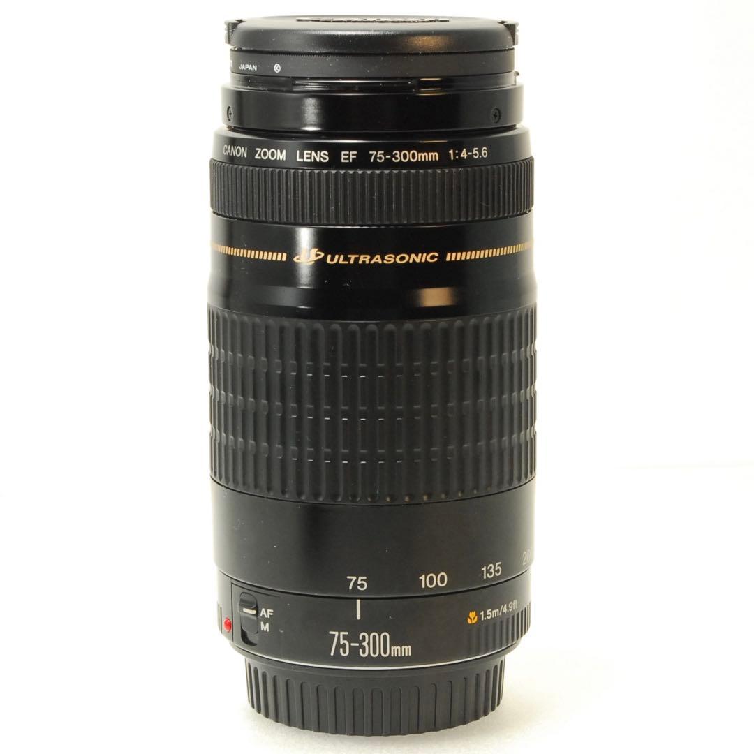 Canon EF 75-300mm USM ❤️キヤノン 望遠レンズ 一眼レフ