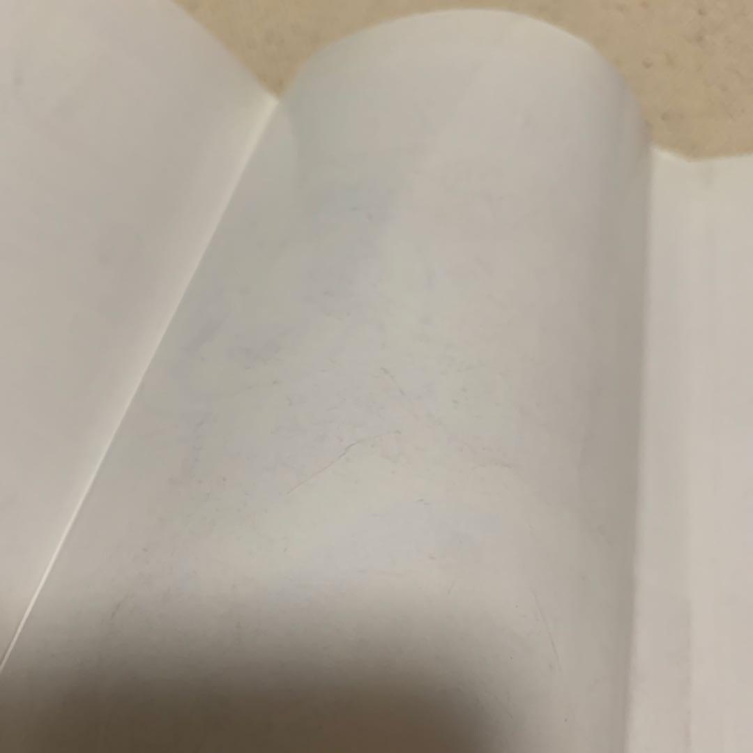 【初版！価格交渉あり！】たまごっち プラスカラー きらきら☆育て方ガイド