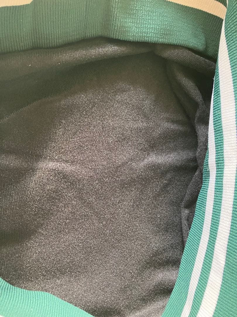 GAMESPORTSWEAR米国製レア品プルオーバーウィングロゴ刺繍VT - メルカリ