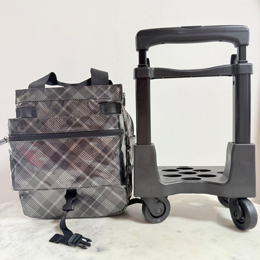 【新品】SWANYスワニー 支えるバッグ　キャリーバッグ　4輪　軽量