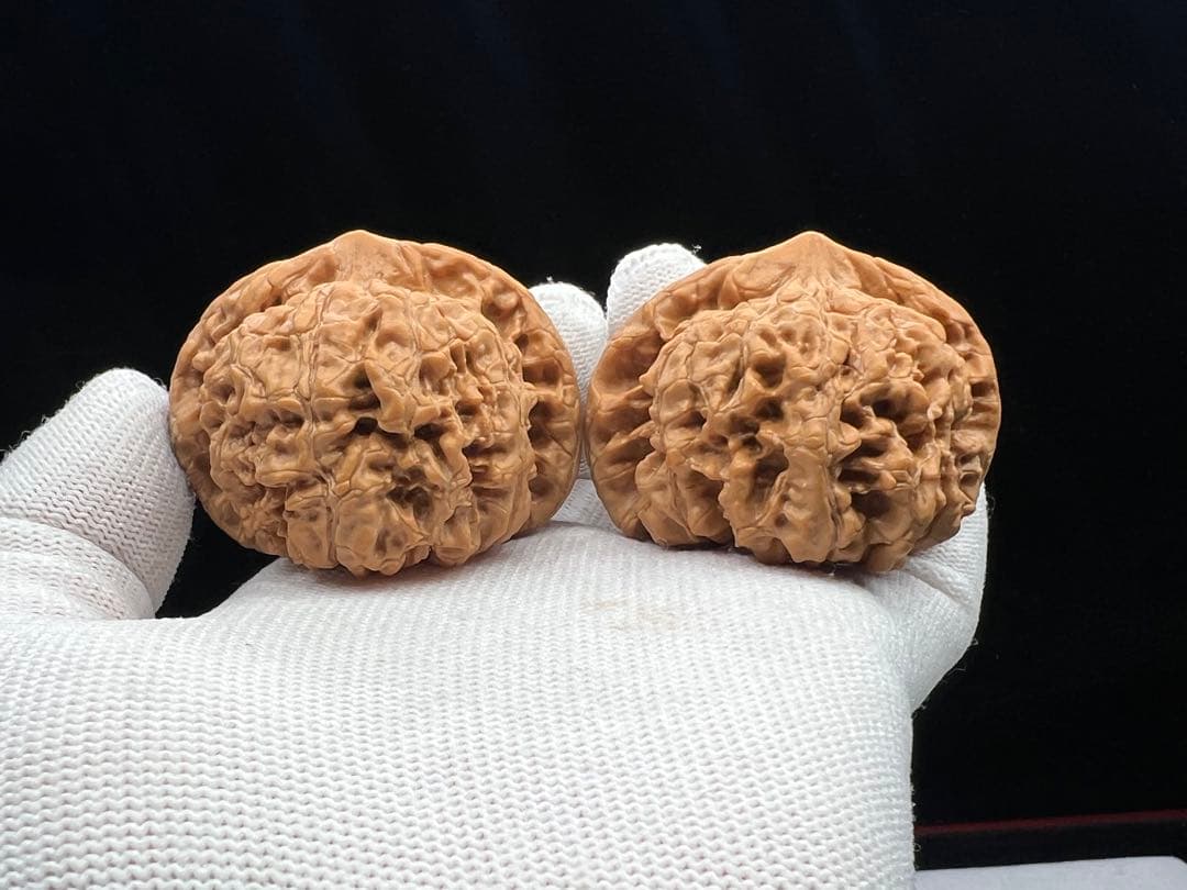 文玩堂：麒麟紋官帽（矮い桩のコレクション級）