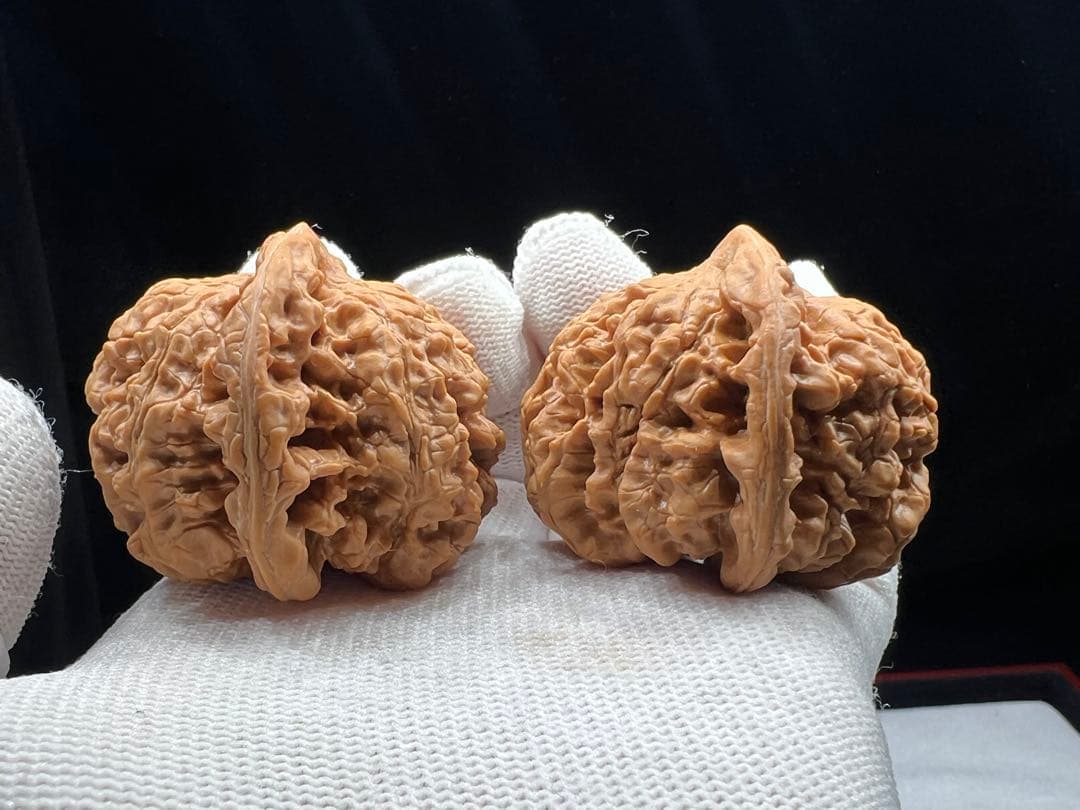 文玩堂：麒麟紋官帽（矮い桩のコレクション級）