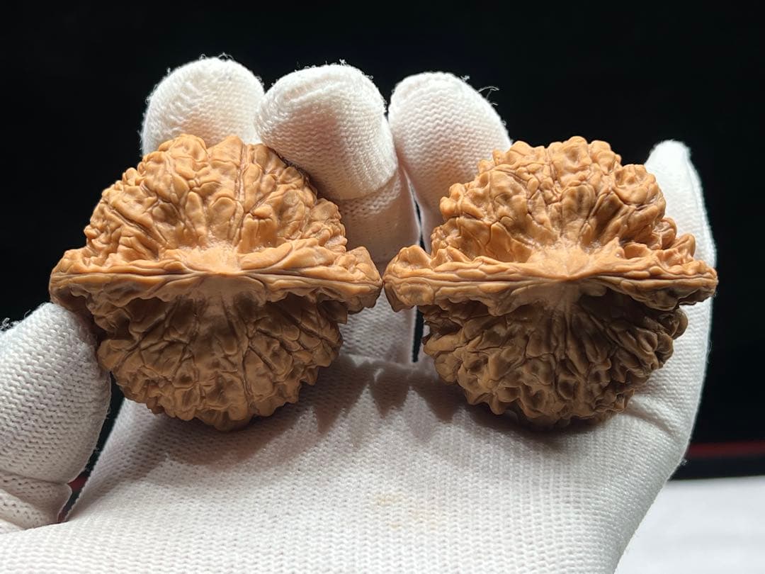 文玩堂：麒麟紋官帽（矮い桩のコレクション級）