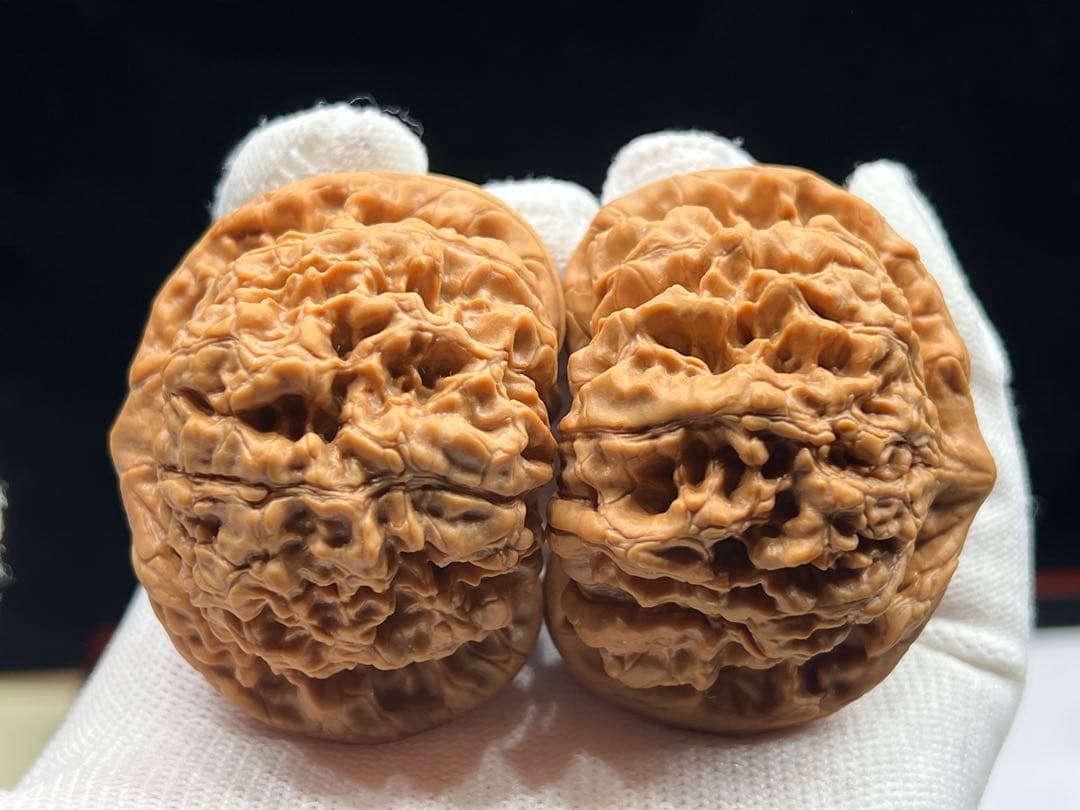 文玩堂：麒麟紋官帽（矮い桩のコレクション級）