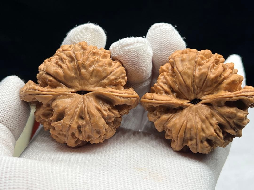 文玩堂：麒麟紋官帽（矮い桩のコレクション級）